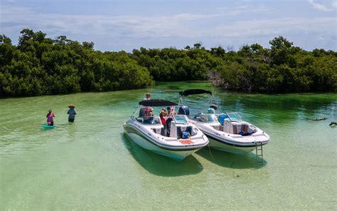 Can You Swim in Key West in January: A Multi-Faceted Exploration